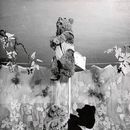 ERN: “Loomade kontsert” (N. Gernet, 1952). Stseen lavastusest. /Foto: A. Alla/