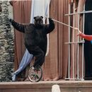 ERN: “Saladuslik tsirkus” (H. Rand, 1997). Stseen lavastusest: Karu – E.-K. Sander, Narr – T. Gross. 